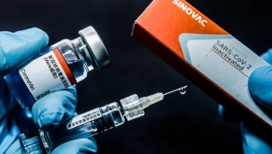 Türkiyede ilk vakanın açıklanmasından 5 gün önce kurulan şirket, Sinovaca aracı oldu