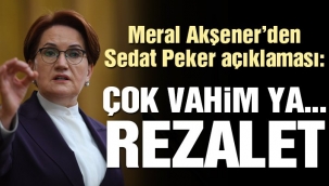 Meral Akşener'den Sedat Peker açıklaması: Çok vahim, rezalet