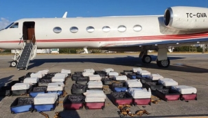 ACM AİR AİT TÜRK JETİNDE BREZİLYA'DA 1304 KİLOGRAM KOKAİN YAKALANDI!