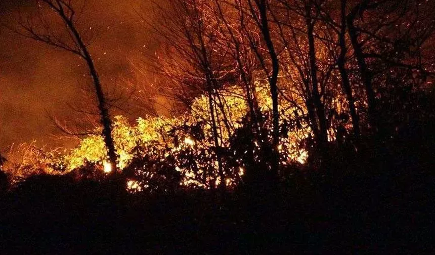 CHP'den belediyelere orman yangını riskine karşı 'tedbir' talimatı