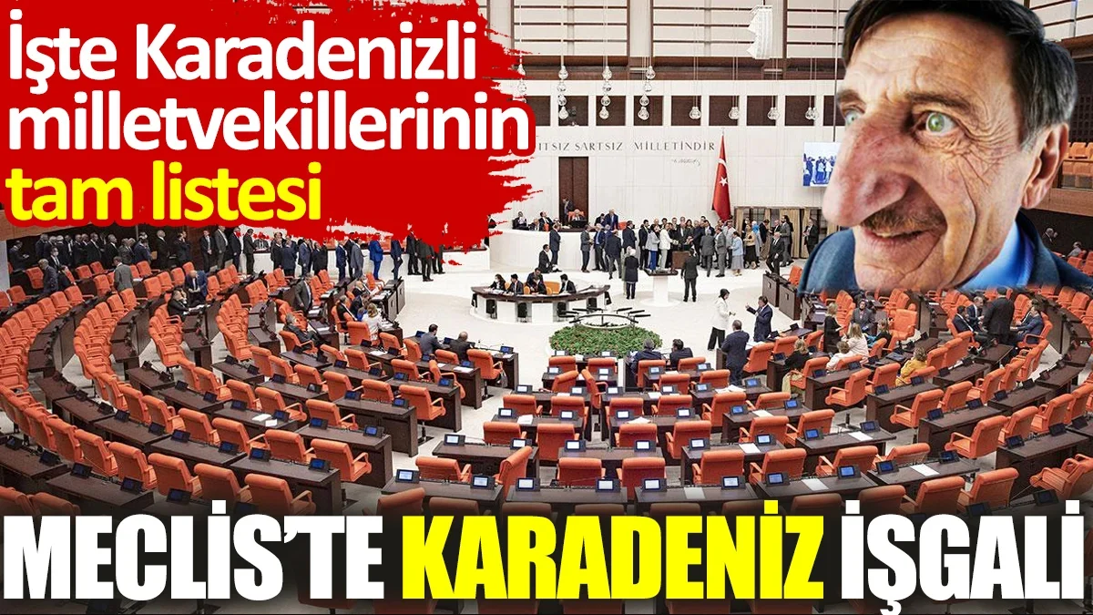 Meclis'te Karadeniz işgali. İşte Karadenizli milletvekillerinin tam listesi