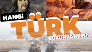 Hangi Türk boyundan olduğunuzu merak ediyor musunuz? İşte Türklerin soy ağacının il il listesi: Eğer bu şehirde doğduysanız...