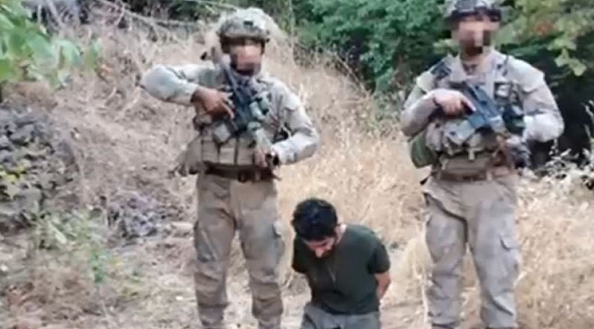 PKK'ya üst düzey darbe