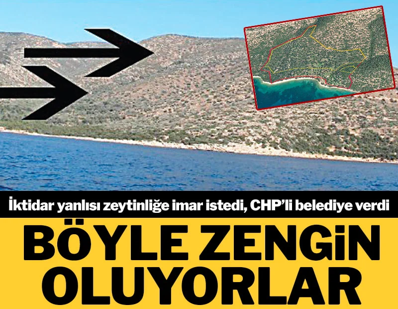 Bazıları rant yaratıp böyle zengin oluyor ! İktidar yanlısı zeytinliğe imar istedi CHP Belediye verdi...