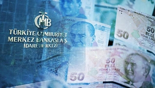 Merkez bankası, faizi %46 seviyesine arttırdı. 