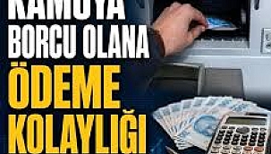 Kamuya borcu olana ödeme kolaylığı! Kim nasıl yararlanacak? Hangi borçlar kapsamda?