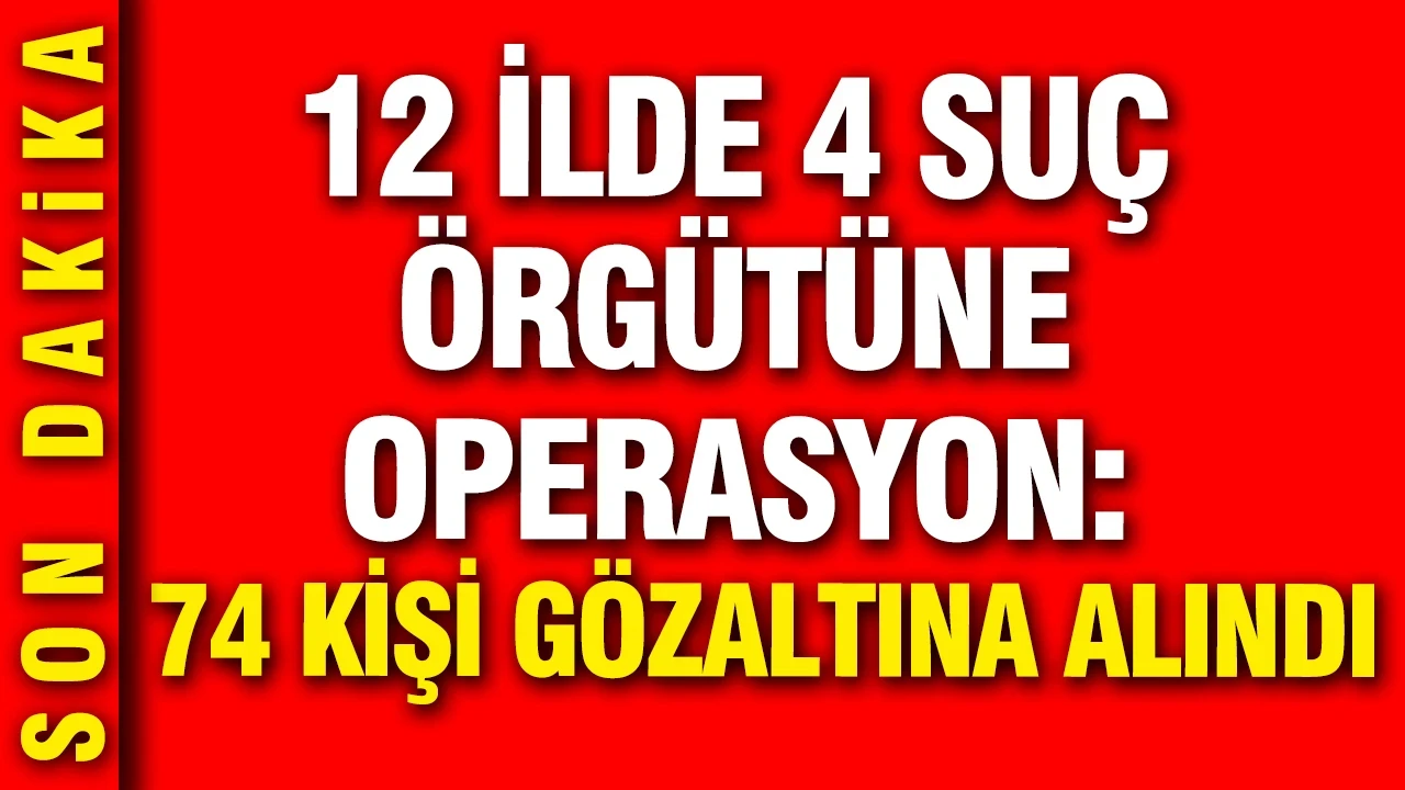İstanbul merkezli 12 ilde 4 ayrı suç örgütüne operasyon 